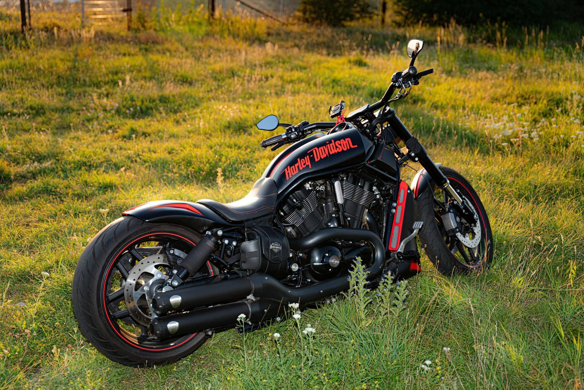 A black and red Harley-Davidson motorcycle parked in a field